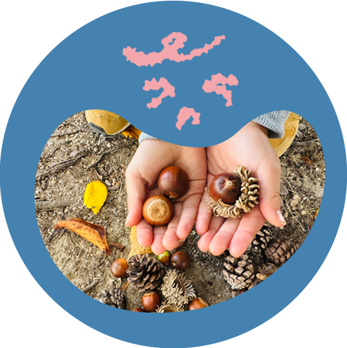 想像力を育む体験活動